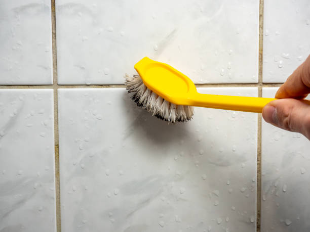 Best Residential Mold Removal  in Firebaugh, CA