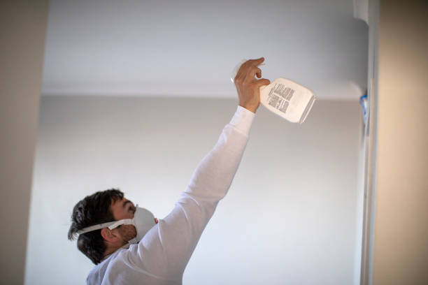Mold Testing and Removal in Firebaugh, CA