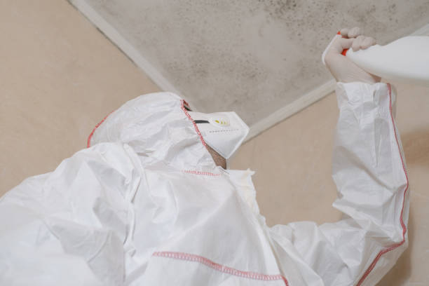 Professional Mold Removal in Firebaugh, CA