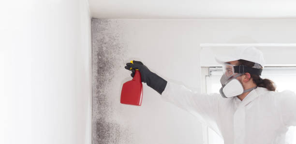 Best Crawl Space Mold Removal  in Firebaugh, CA