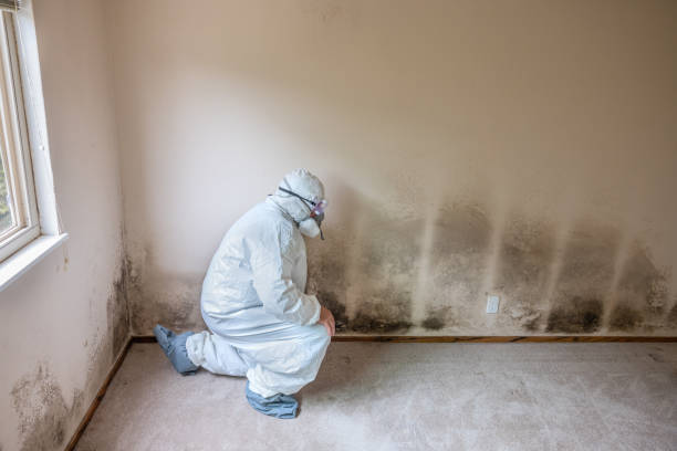 Best Mold Removal Process  in Firebaugh, CA