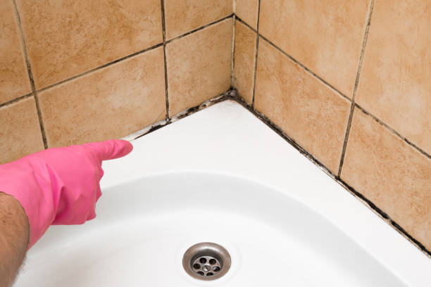 Best Mold Testing  in Firebaugh, CA